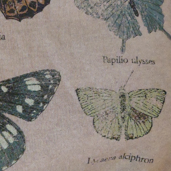 *SOLD* BOGO NWT CACTUS & PEARL Butterfly Graphic Crewneck Tee - Picture 6 of 7